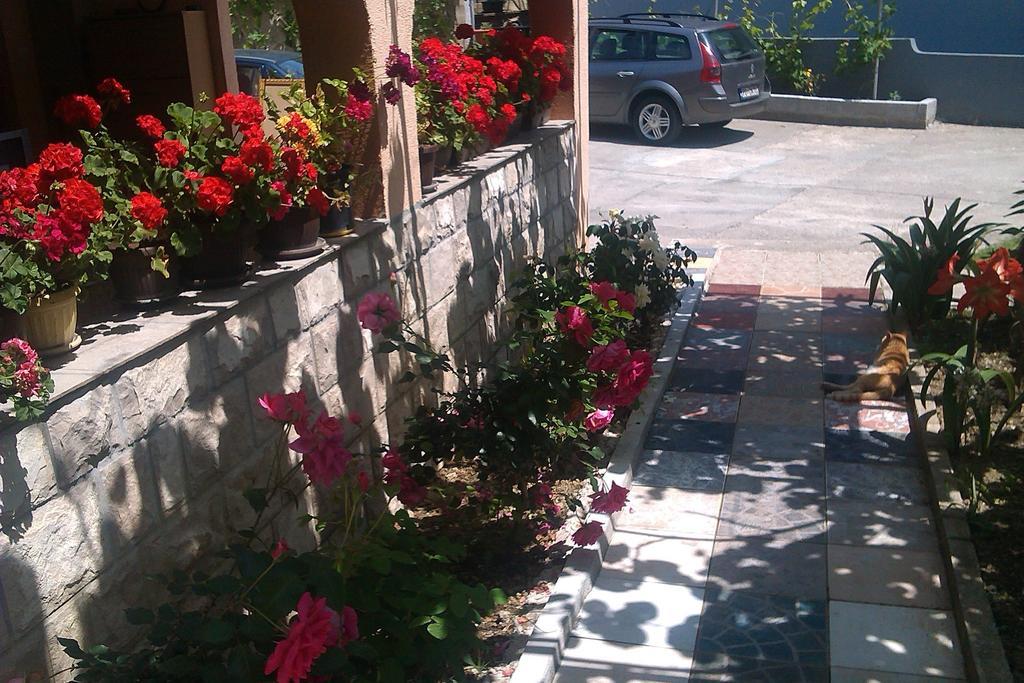 Apartment Jaz Merdovic Budva Exterior photo